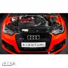 Admision Eventuri Carbono AUDI 8V RS3