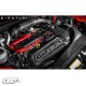 Admision Eventuri Carbono AUDI 8V RS3