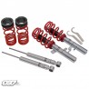 Suspension H&R monotubo Renault megane sport 225/230
