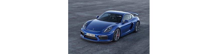 Cayman/boxster